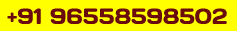 Contact Number